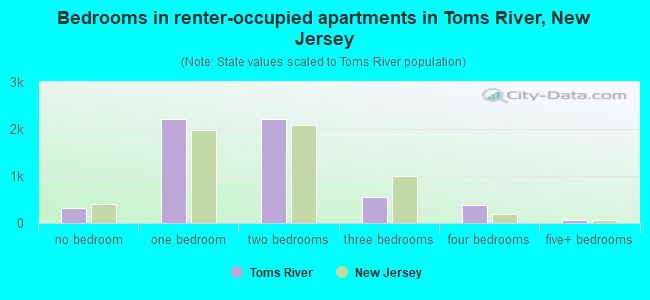 Bedrooms in renter-occupied apartments in Toms River, New Jersey