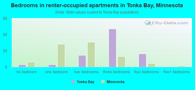 Bedrooms in renter-occupied apartments in Tonka Bay, Minnesota