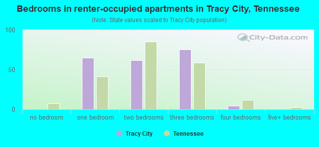 Bedrooms in renter-occupied apartments in Tracy City, Tennessee