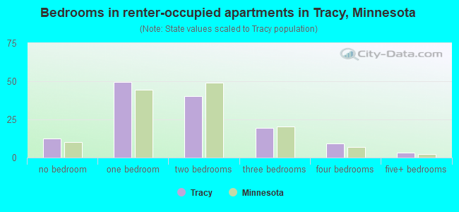 Bedrooms in renter-occupied apartments in Tracy, Minnesota