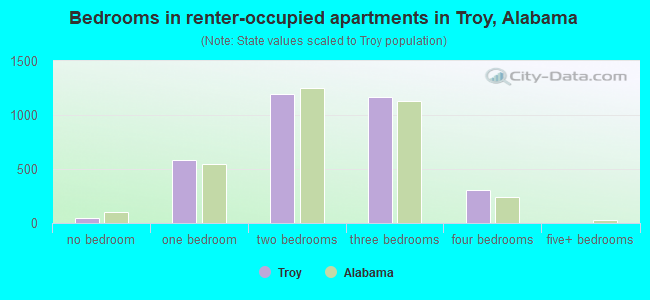 Bedrooms in renter-occupied apartments in Troy, Alabama