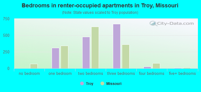 Bedrooms in renter-occupied apartments in Troy, Missouri