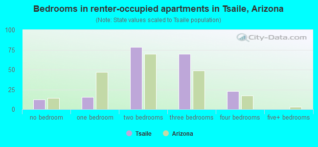 Bedrooms in renter-occupied apartments in Tsaile, Arizona