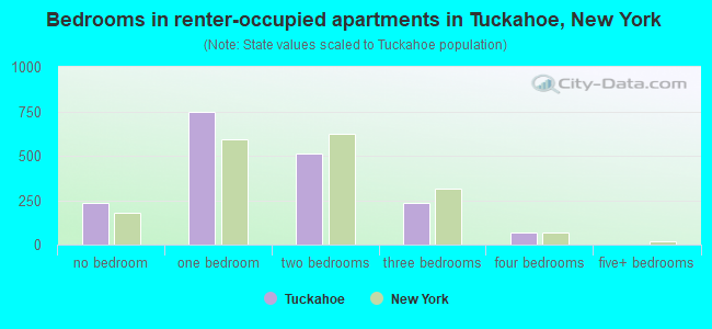 Bedrooms in renter-occupied apartments in Tuckahoe, New York