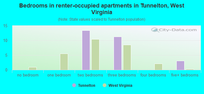 Bedrooms in renter-occupied apartments in Tunnelton, West Virginia