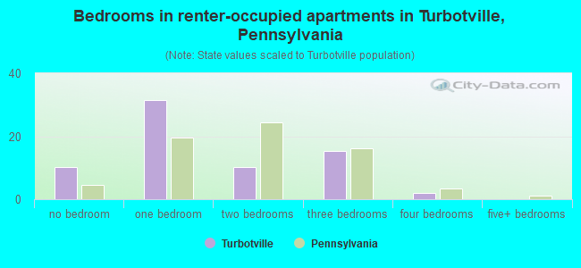 Bedrooms in renter-occupied apartments in Turbotville, Pennsylvania