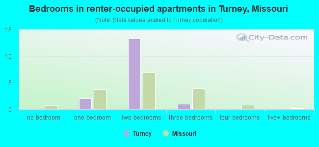 Bedrooms in renter-occupied apartments in Turney, Missouri