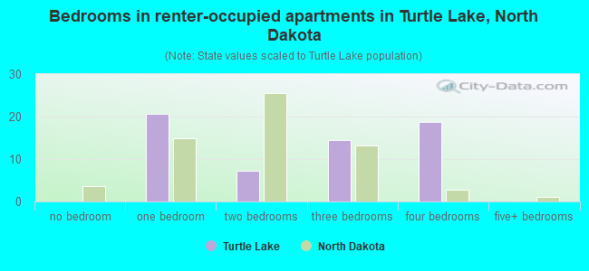 Bedrooms in renter-occupied apartments in Turtle Lake, North Dakota