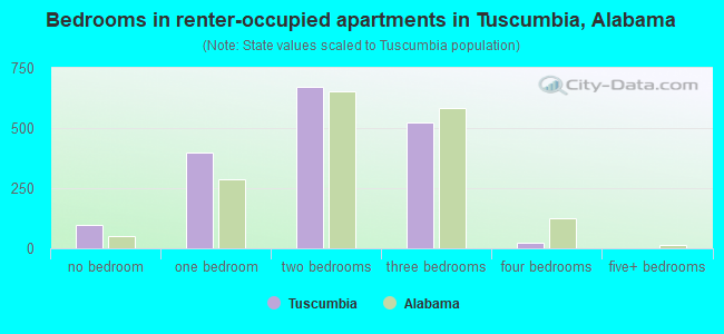 Bedrooms in renter-occupied apartments in Tuscumbia, Alabama