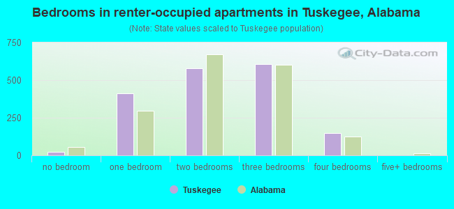 Bedrooms in renter-occupied apartments in Tuskegee, Alabama