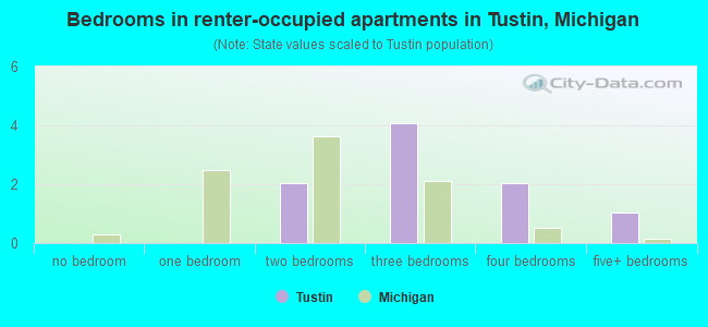 Bedrooms in renter-occupied apartments in Tustin, Michigan