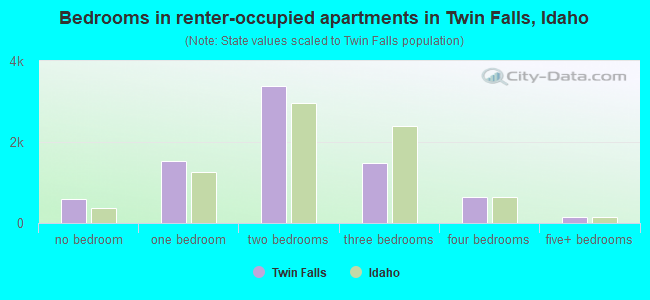 Bedrooms in renter-occupied apartments in Twin Falls, Idaho