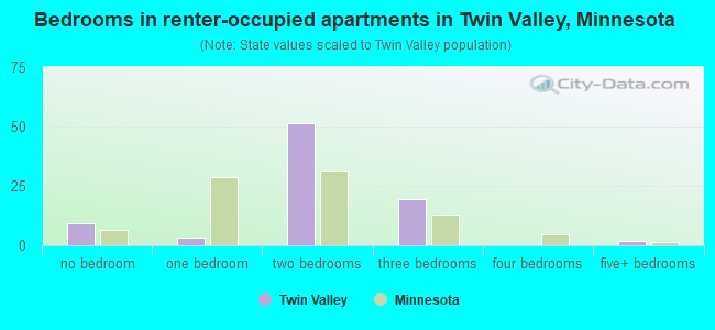 Bedrooms in renter-occupied apartments in Twin Valley, Minnesota