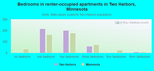 Bedrooms in renter-occupied apartments in Two Harbors, Minnesota