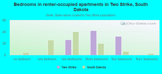 Bedrooms in renter-occupied apartments in Two Strike, South Dakota