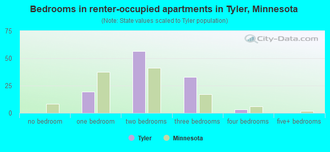 Bedrooms in renter-occupied apartments in Tyler, Minnesota