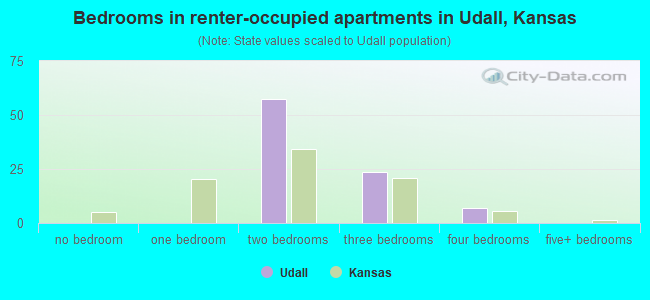 Bedrooms in renter-occupied apartments in Udall, Kansas