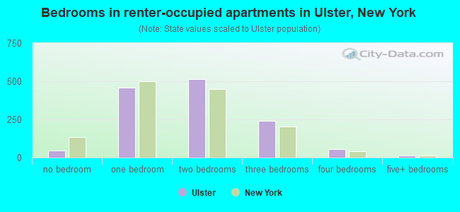 Bedrooms in renter-occupied apartments in Ulster, New York