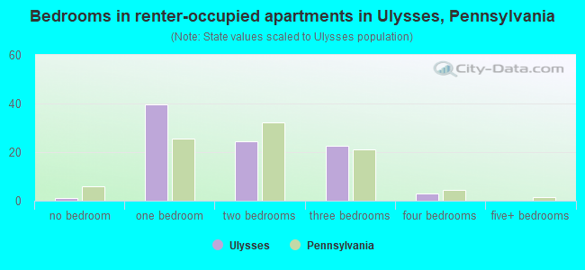 Bedrooms in renter-occupied apartments in Ulysses, Pennsylvania