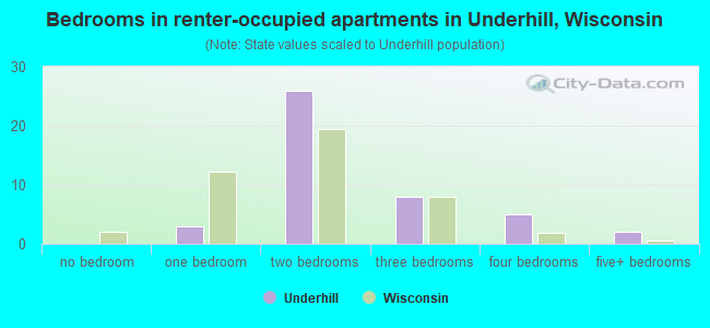 Bedrooms in renter-occupied apartments in Underhill, Wisconsin