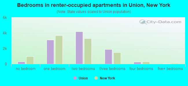Bedrooms in renter-occupied apartments in Union, New York