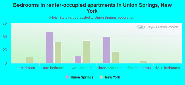 Bedrooms in renter-occupied apartments in Union Springs, New York