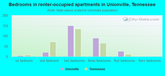 Bedrooms in renter-occupied apartments in Unionville, Tennessee