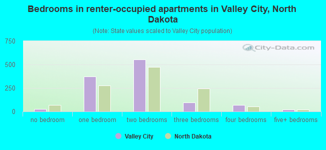 Bedrooms in renter-occupied apartments in Valley City, North Dakota