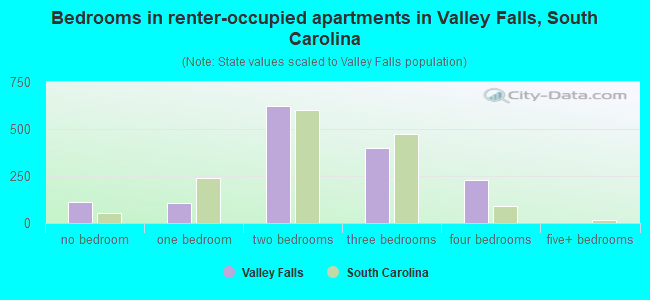 Bedrooms in renter-occupied apartments in Valley Falls, South Carolina
