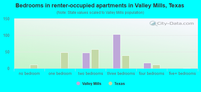 Bedrooms in renter-occupied apartments in Valley Mills, Texas