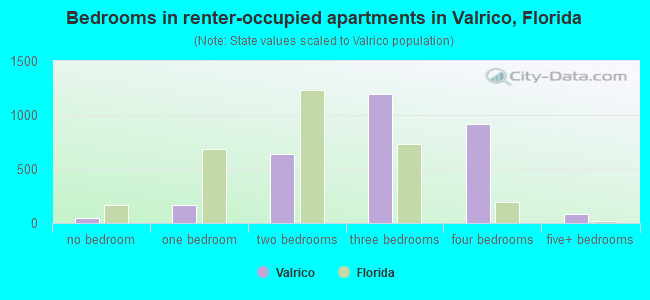Bedrooms in renter-occupied apartments in Valrico, Florida