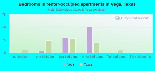Bedrooms in renter-occupied apartments in Vega, Texas