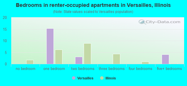 Bedrooms in renter-occupied apartments in Versailles, Illinois