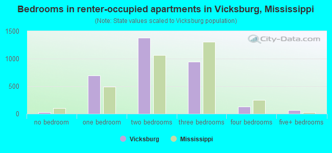 Bedrooms in renter-occupied apartments in Vicksburg, Mississippi