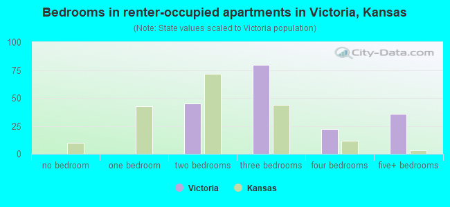 Bedrooms in renter-occupied apartments in Victoria, Kansas
