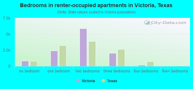 Bedrooms in renter-occupied apartments in Victoria, Texas