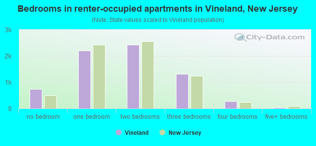 Bedrooms in renter-occupied apartments in Vineland, New Jersey