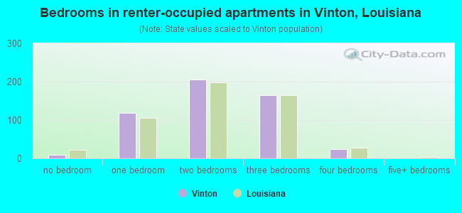 Bedrooms in renter-occupied apartments in Vinton, Louisiana