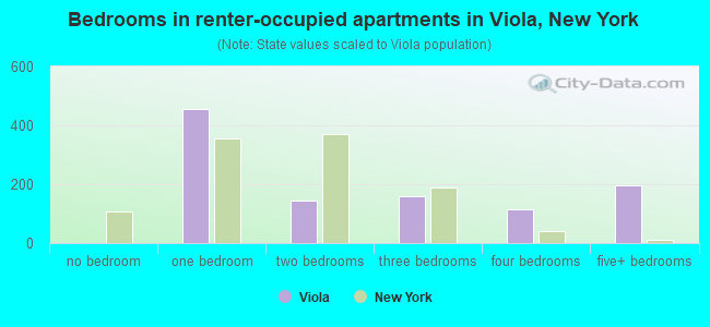 Bedrooms in renter-occupied apartments in Viola, New York