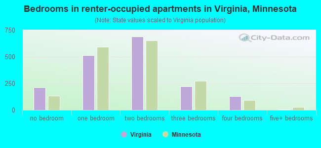 Bedrooms in renter-occupied apartments in Virginia, Minnesota
