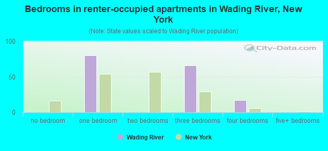 Bedrooms in renter-occupied apartments in Wading River, New York