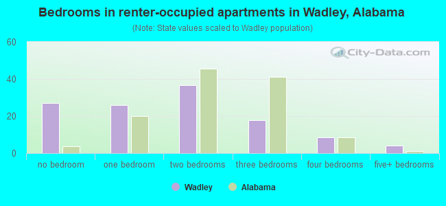 Bedrooms in renter-occupied apartments in Wadley, Alabama