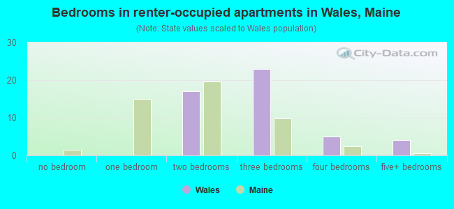 Bedrooms in renter-occupied apartments in Wales, Maine