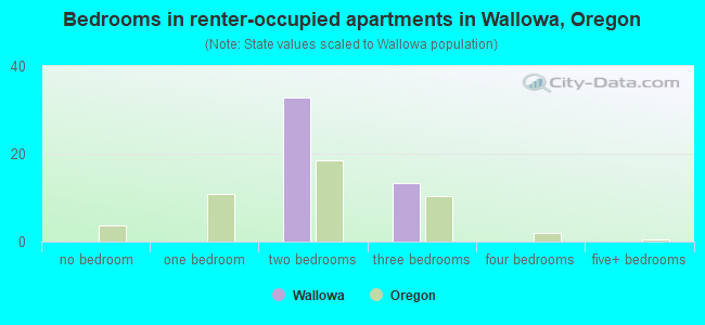 Bedrooms in renter-occupied apartments in Wallowa, Oregon