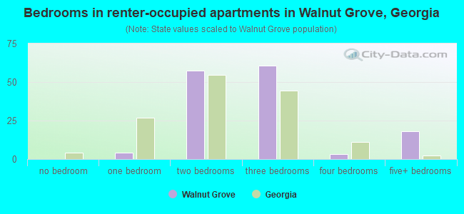 Bedrooms in renter-occupied apartments in Walnut Grove, Georgia