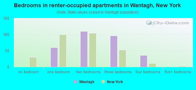 Bedrooms in renter-occupied apartments in Wantagh, New York