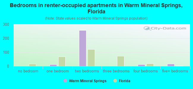 Bedrooms in renter-occupied apartments in Warm Mineral Springs, Florida