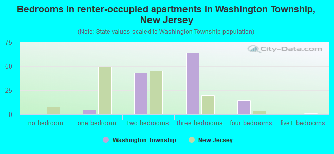 Bedrooms in renter-occupied apartments in Washington Township, New Jersey