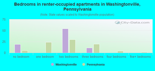 Bedrooms in renter-occupied apartments in Washingtonville, Pennsylvania