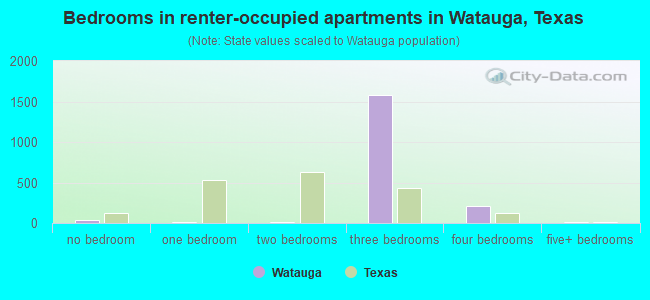 Bedrooms in renter-occupied apartments in Watauga, Texas